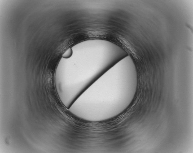 X0000098040265200804111353