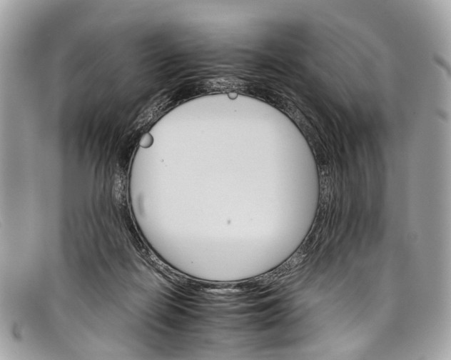 X0000098040266200804111353