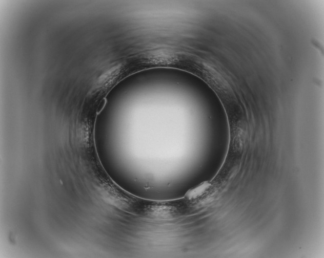 X0000098040268200804111353