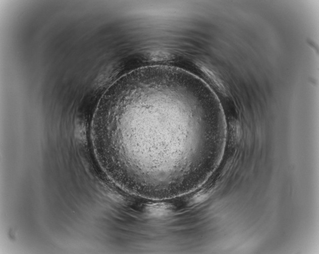 X0000098040269200804111353