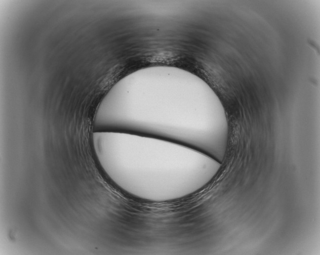 X0000098040273200804111354