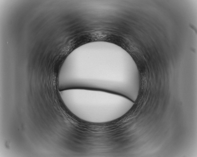 X0000098040274200804111354