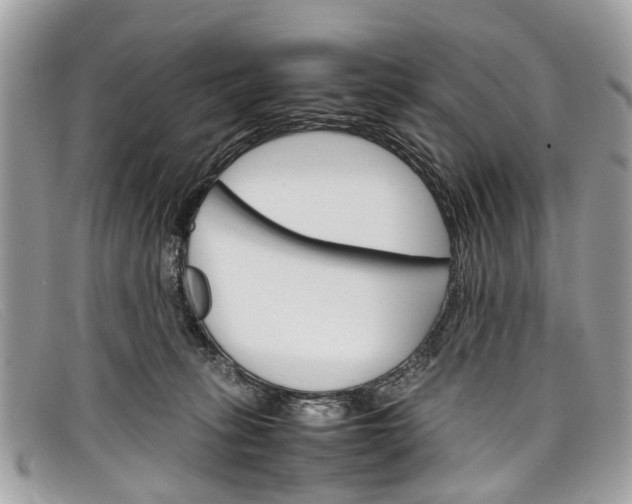 X0000098040275200804111354