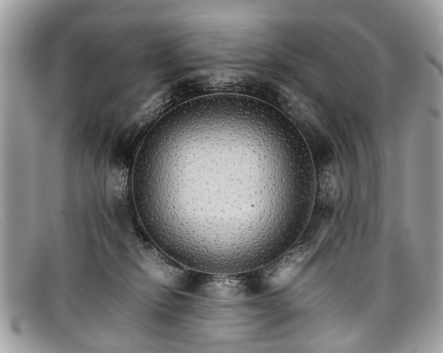 X0000098040278200804111354