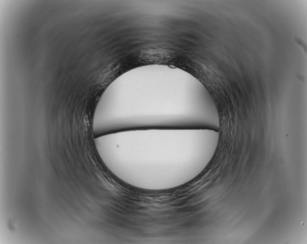 X0000098040279200804111354