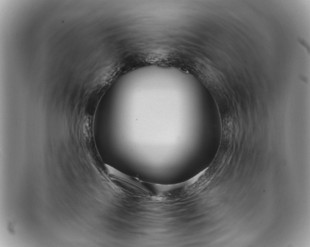 X0000098040280200804111354
