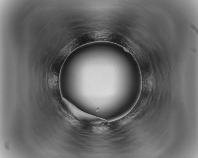 X0000098040281200804111354