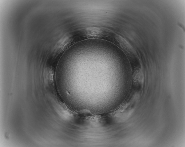 X0000098040282200804111354