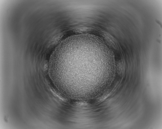 X0000098040284200804111354