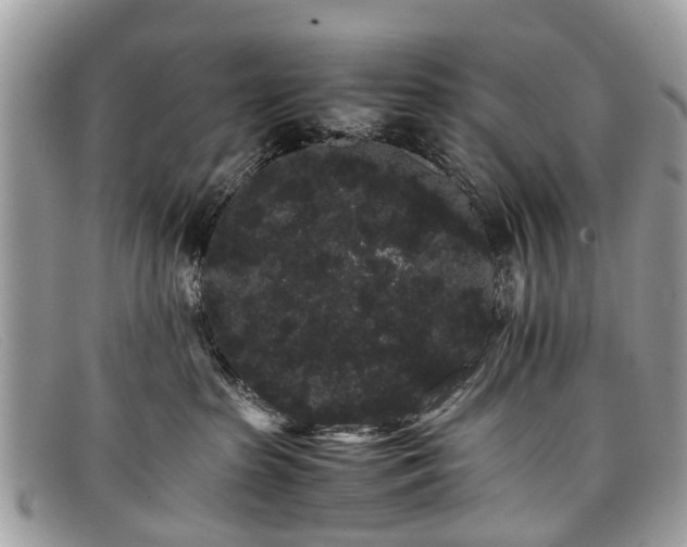 X0000098040285200804111354