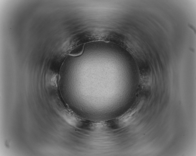 X0000098040286200804111354