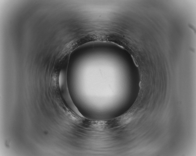 X0000098040288200804111354