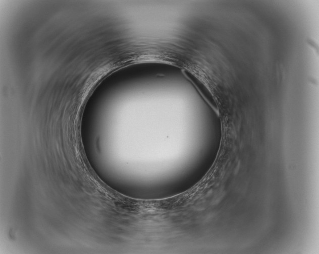 X0000098040289200804111353