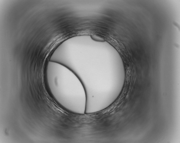 X0000098040290200804111353