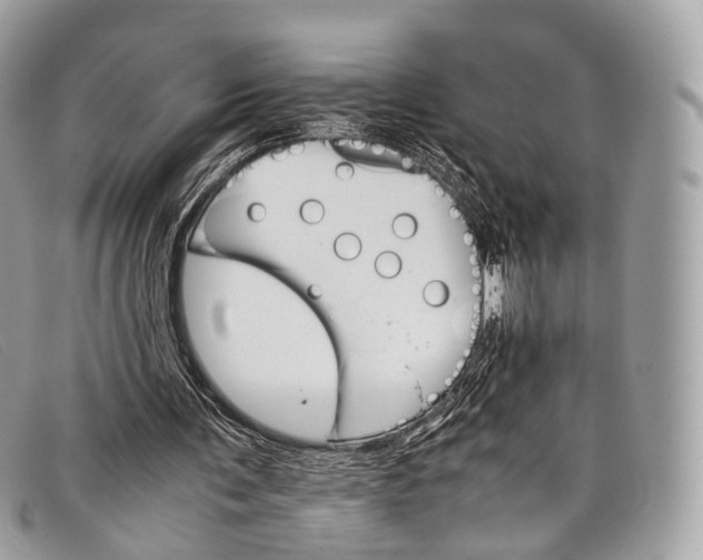 X0000098040291200804111353