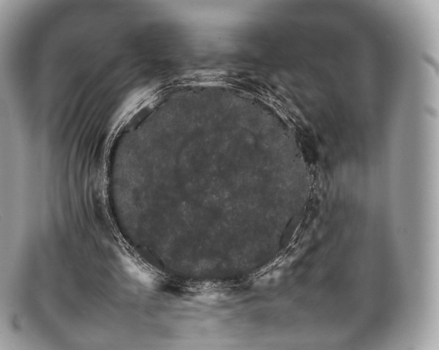 X0000098040293200804111353