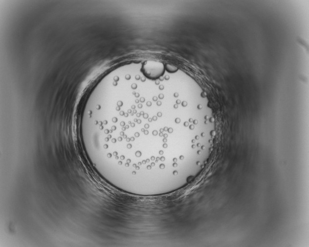 X0000098040294200804111353