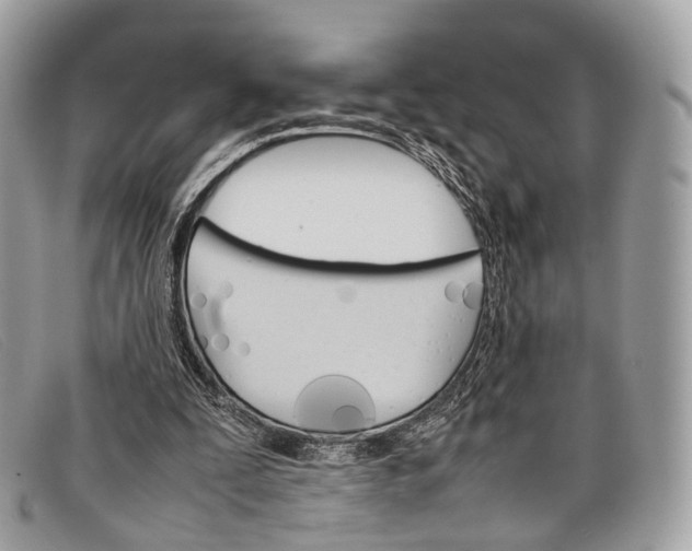 X0000098040295200804111353