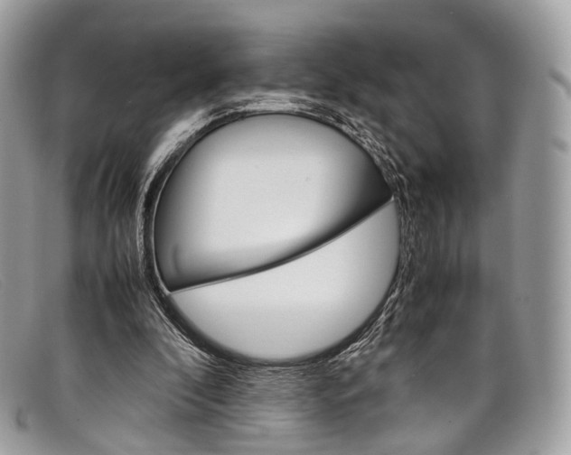 X0000098040296200804111353