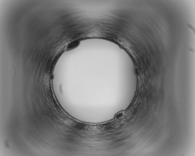 X0000098040297200804111353