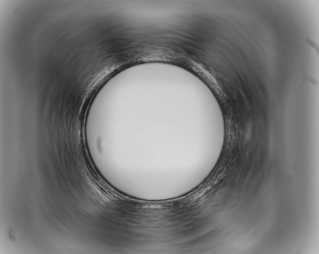 X0000098040298200804111353