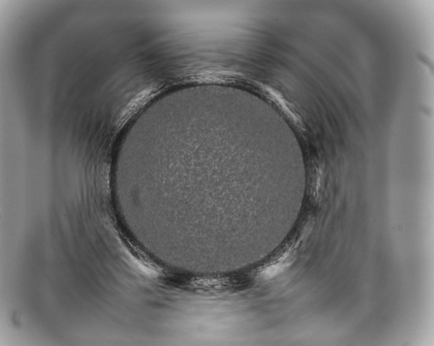 X0000098040299200804111353