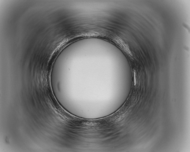X0000098040300200804111353