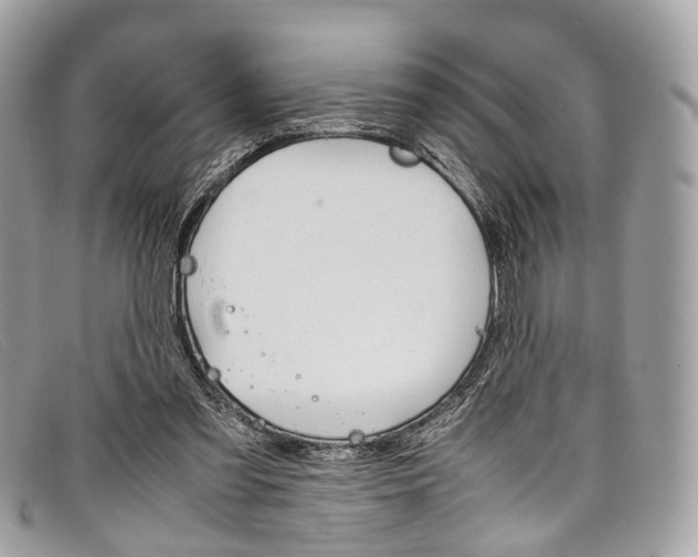 X0000098040301200804111353