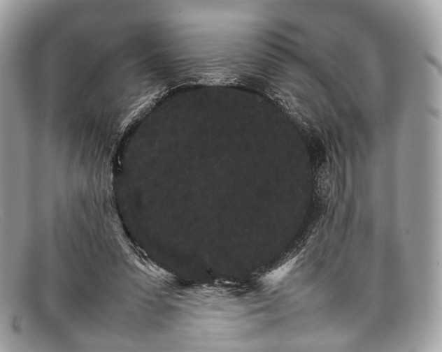 X0000098040303200804111353