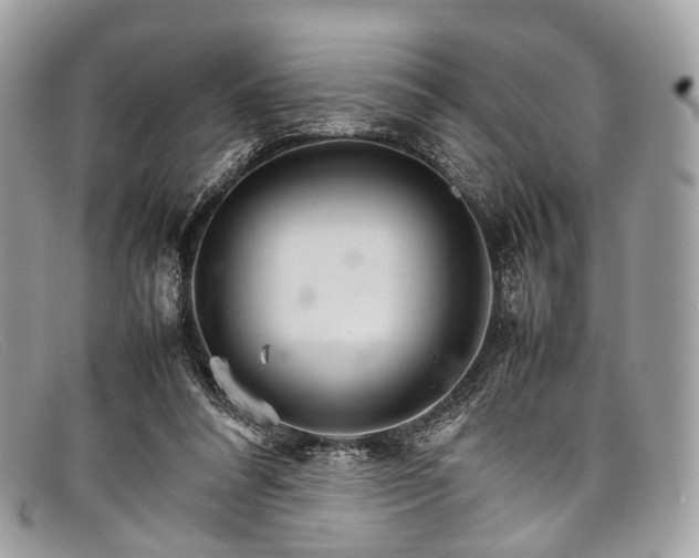 X0000098040304200804111353