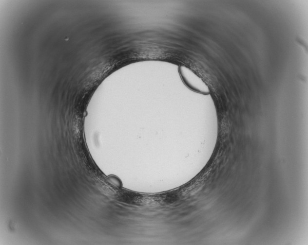 X0000098040305200804111353