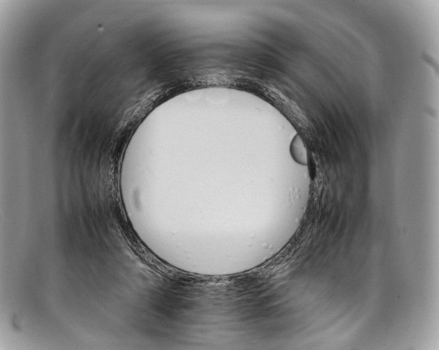 X0000098040306200804111353