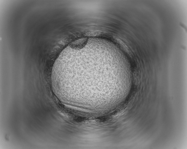 X0000098040307200804111353