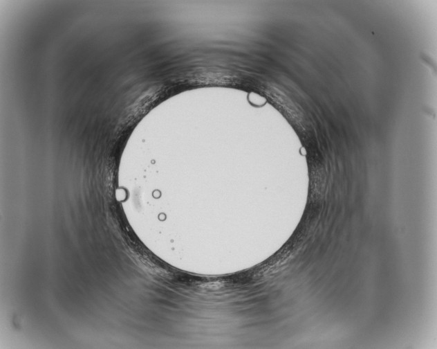 X0000098040309200804111353