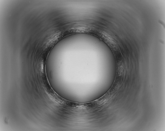 X0000098040310200804111353