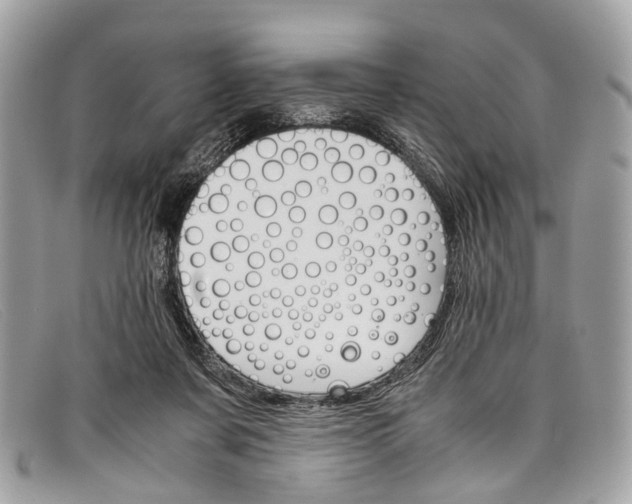 X0000098040311200804111353