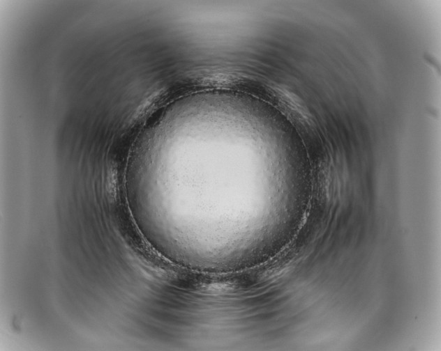 X0000098040312200804111353