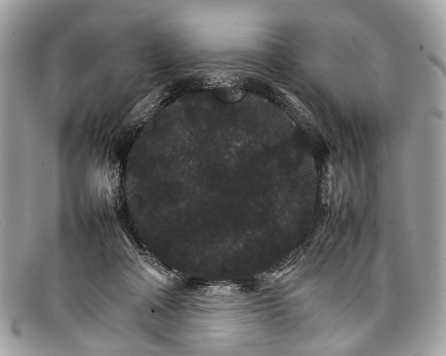 X0000098040314200804111353