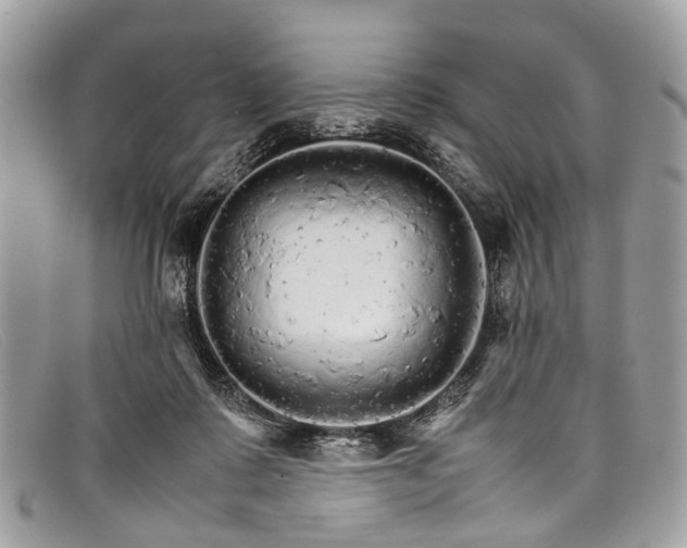 X0000098040315200804111353