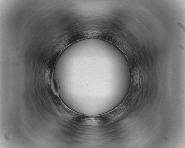 X0000098040316200804111353