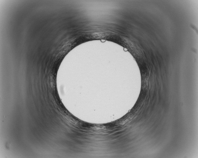 X0000098040317200804111353