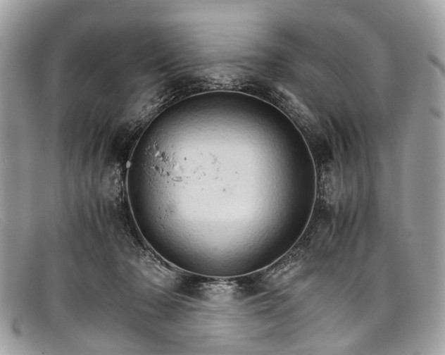 X0000098040318200804111353