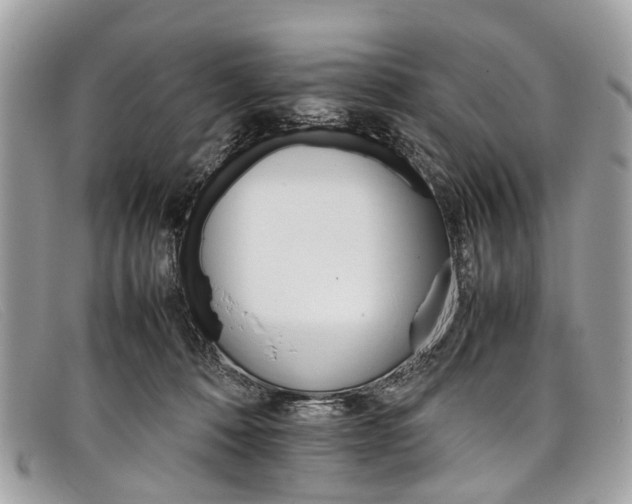 X0000098040320200804111353