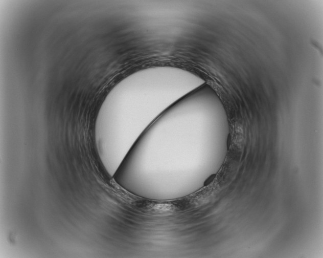 X0000098040324200804111353