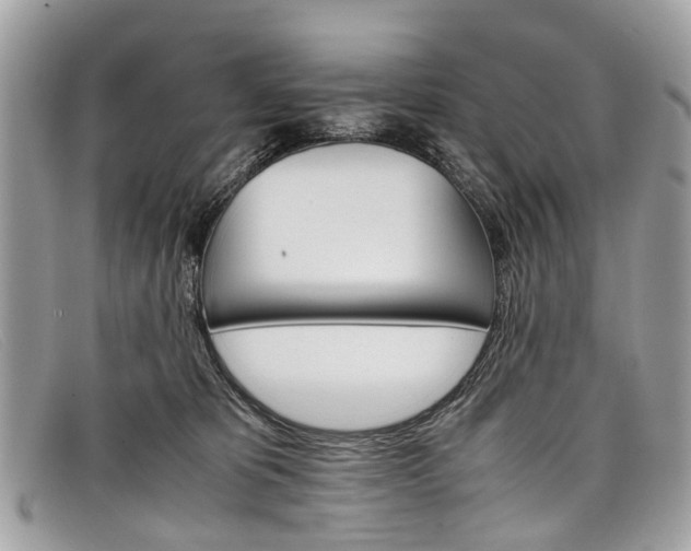 X0000098040325200804111353