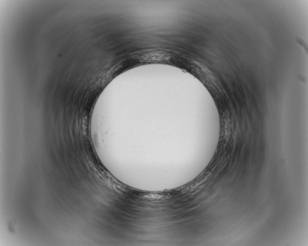 X0000098040326200804111353