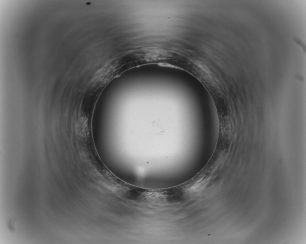 X0000098040327200804111353