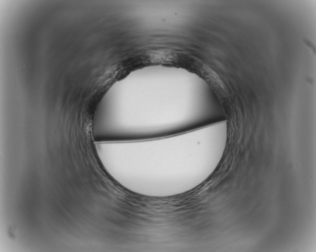 X0000098040329200804111352