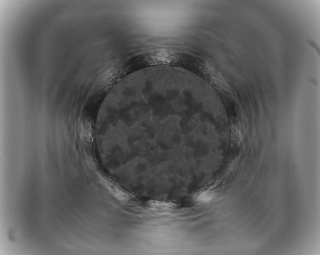 X0000098040331200804111352