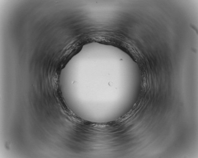 X0000098040332200804111352